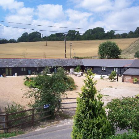 Five Cottages In Aonb And A Hobbit House! Canterbury Esterno foto