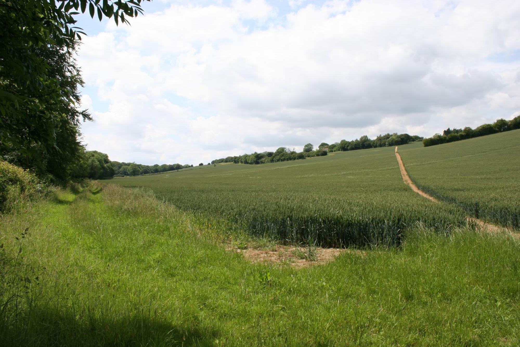 Five Cottages In Aonb And A Hobbit House! Canterbury Esterno foto